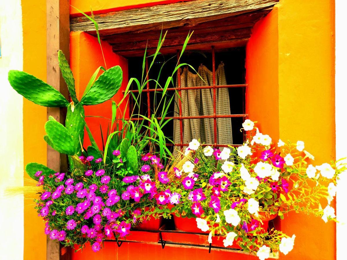Zanina Country House Peschiera del Garda Eksteriør bilde